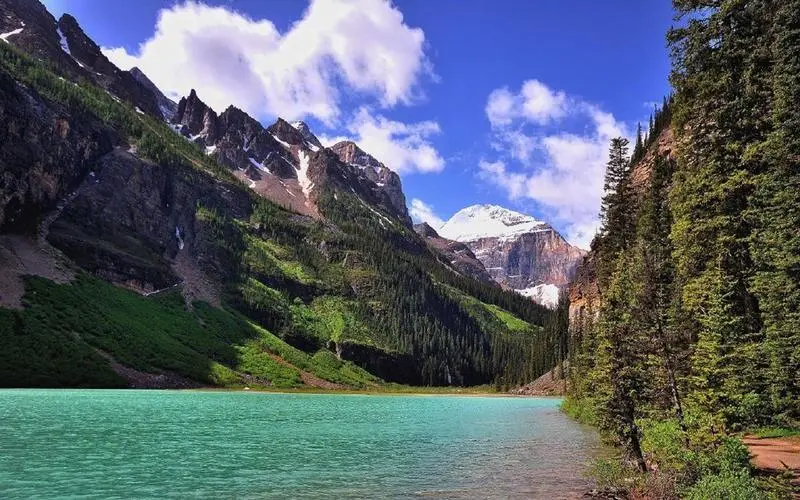 自动化智能制造高端